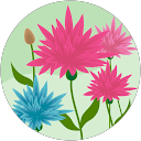 fleurs S. profile picture